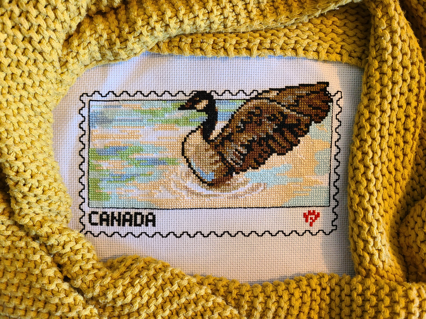 Canada Goose Stamp