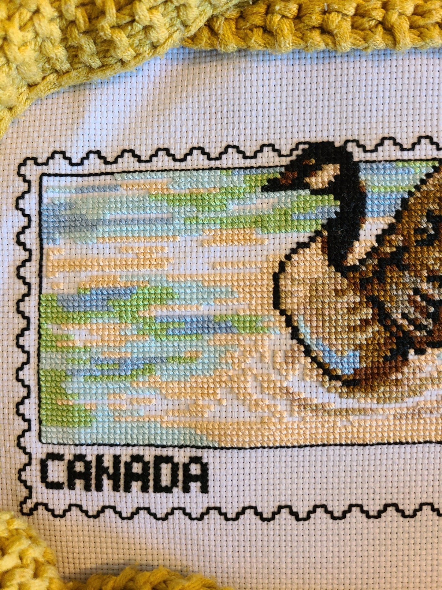 Canada Goose Stamp